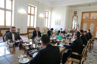 Iranian, Turkmen FMs