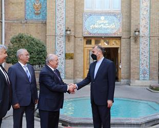 Iranian, Uzbek FMs