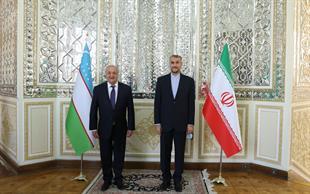 Iranian, Uzbek FMs